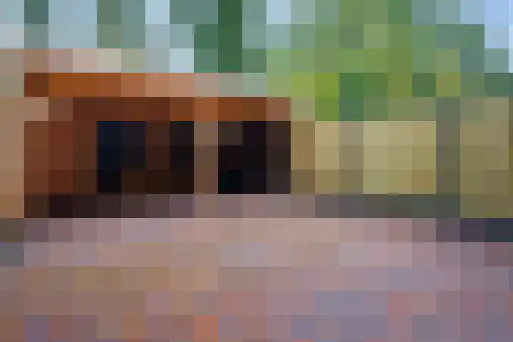Rolderbrink 230 Emmen thumbnail 32