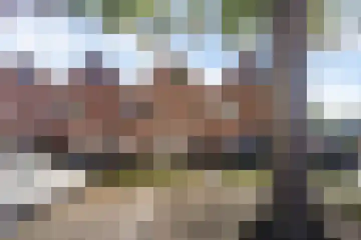 Rolderbrink 247 Emmen thumbnail 39