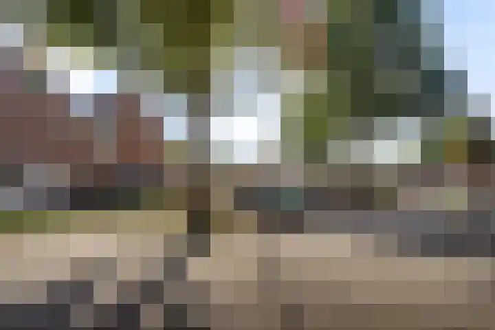 Rolderbrink 247 Emmen thumbnail 42