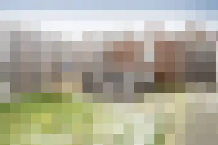 Rolderbrink 249 Emmen thumbnail 22
