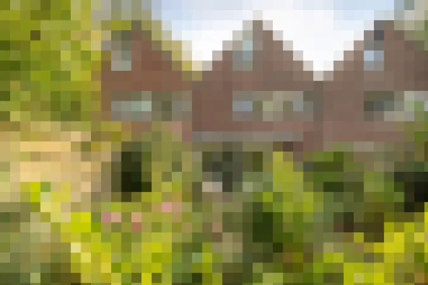 Rolderbrink 314 Emmen thumbnail 33