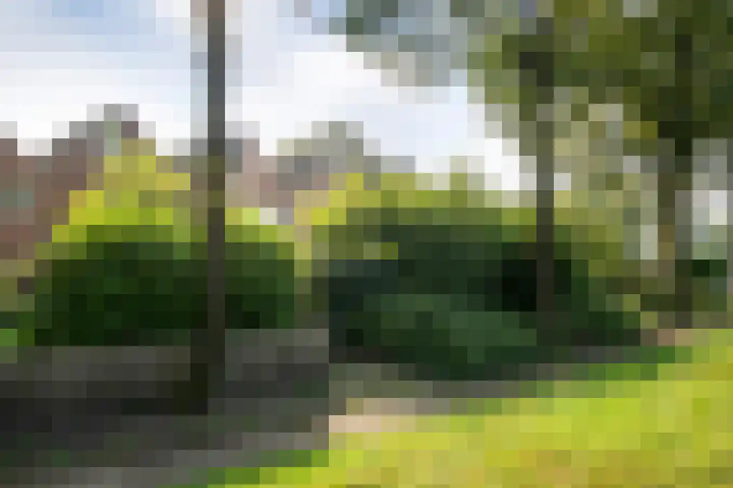 Rolderbrink 314 Emmen thumbnail 34