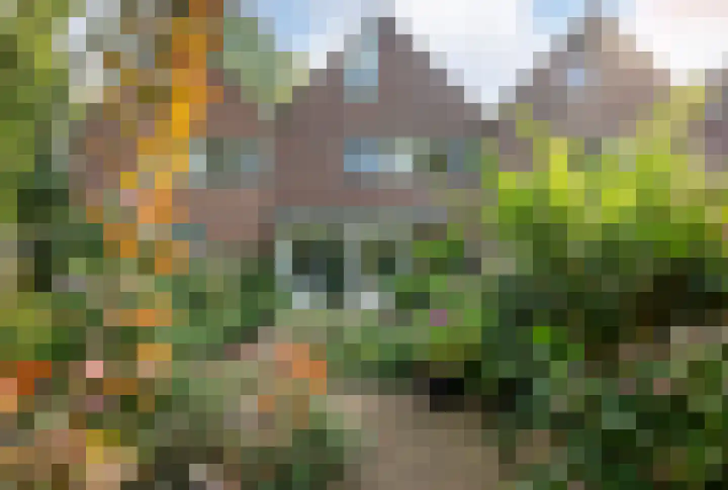 Rolderbrink 314 Emmen thumbnail 35