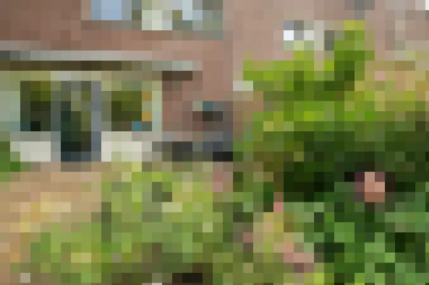 Rolderbrink 314 Emmen thumbnail 36