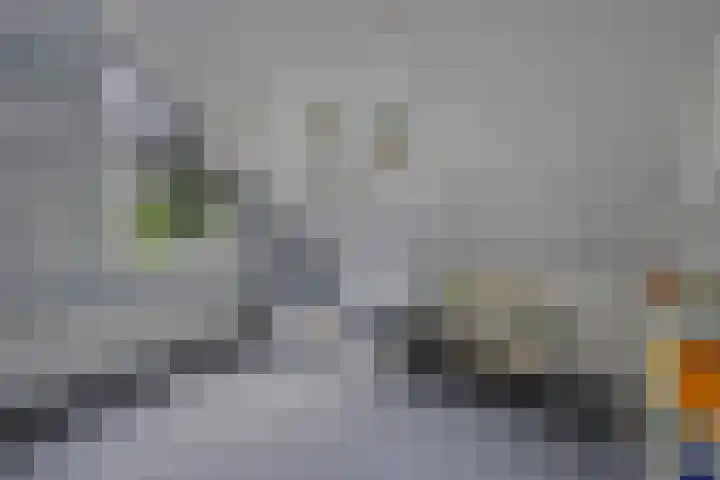 Rolderbrink 40 Emmen thumbnail 29