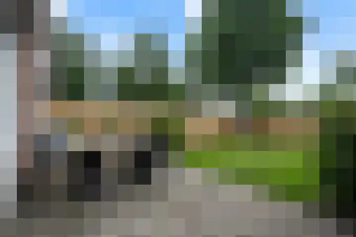 Rolderbrink 40 Emmen thumbnail 35