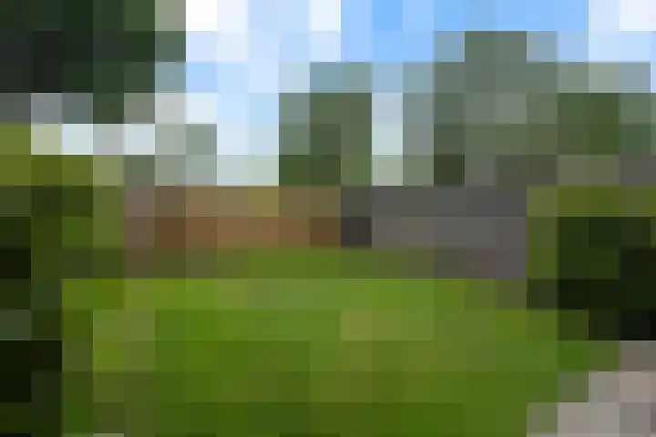 Rolderbrink 40 Emmen thumbnail 37
