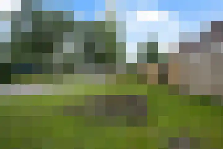 Rolderbrink 40 Emmen thumbnail 40