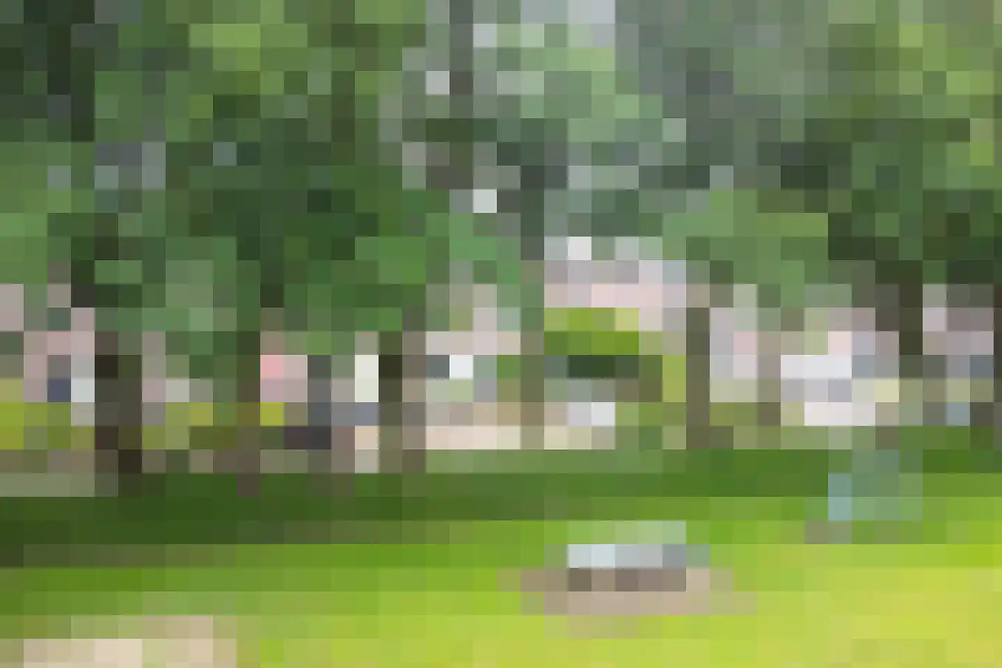 Rolderbrink 410 Emmen thumbnail 69