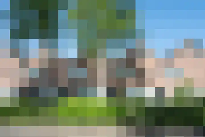 Rolderbrink 63 Emmen thumbnail 27
