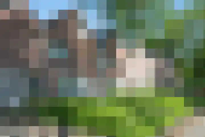Rolderbrink 63 Emmen thumbnail 28