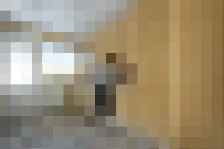 Rolderbrink 63 Emmen thumbnail 7
