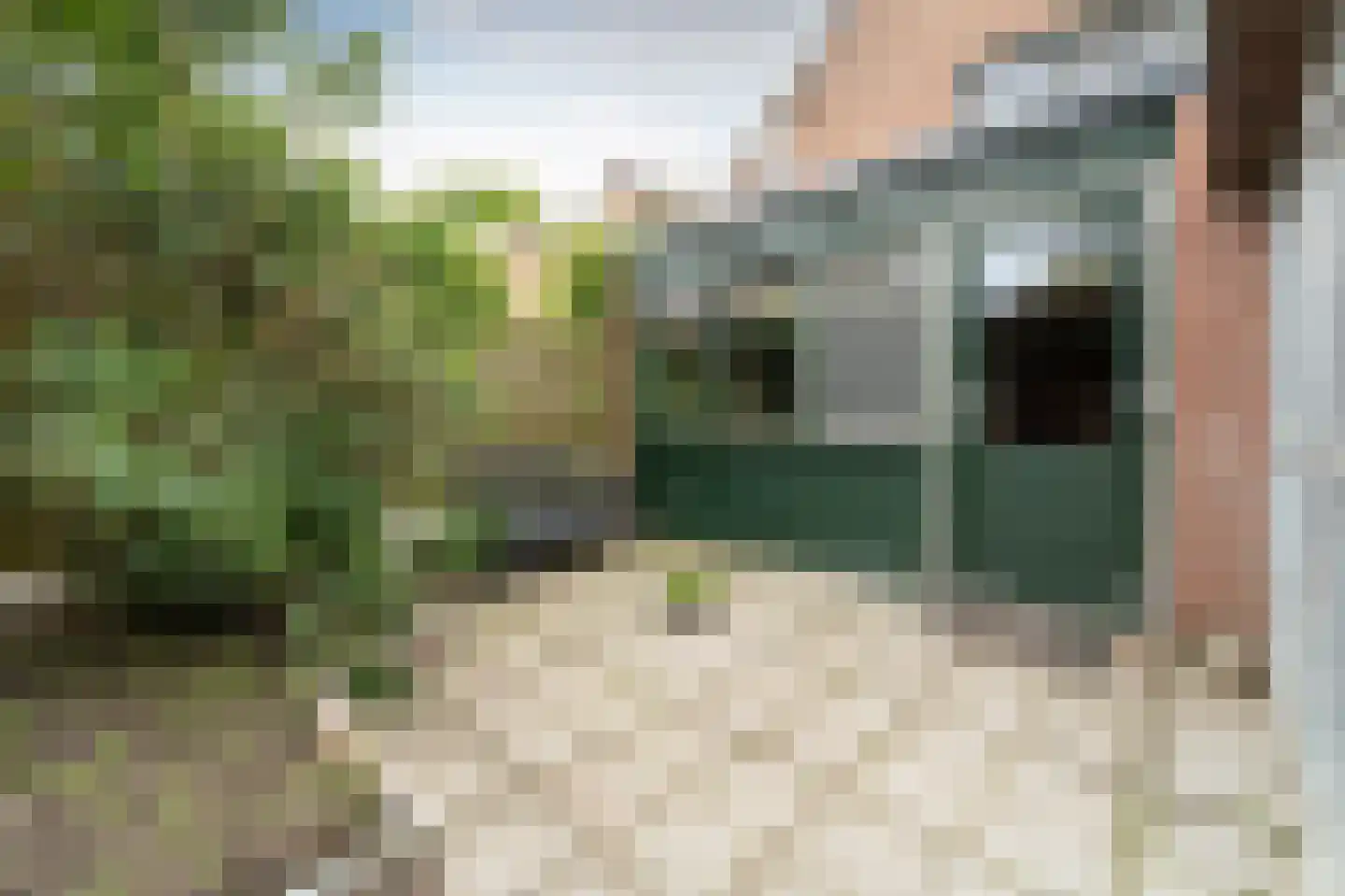 Rolderbrink 70 Emmen thumbnail 30