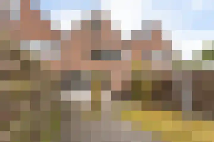 Rolderbrink 88 Emmen thumbnail 34