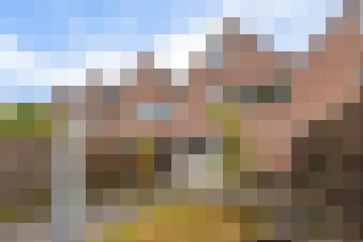 Rolderbrink 88 Emmen thumbnail 36