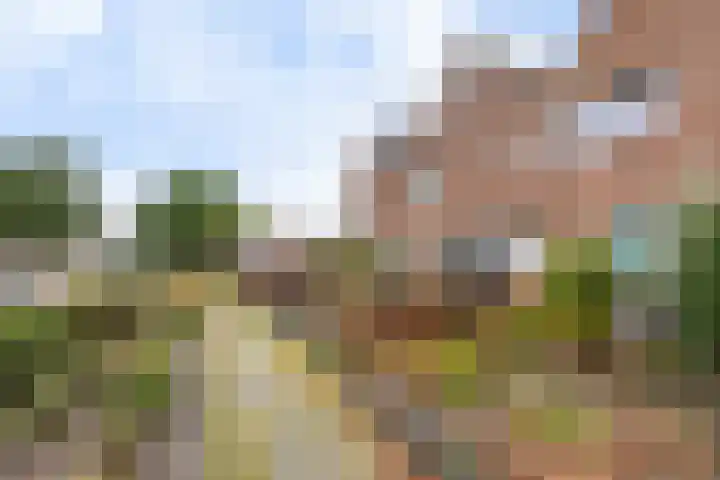 Rolderbrink 88 Emmen thumbnail 37
