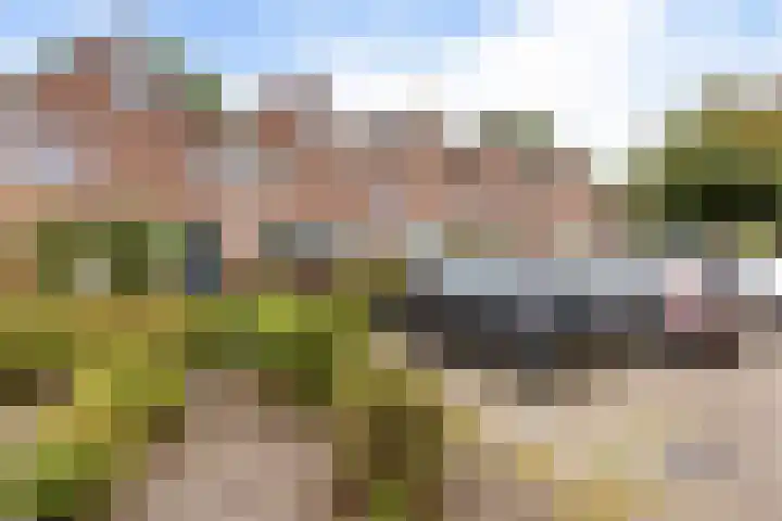 Rolderbrink 88 Emmen thumbnail 39