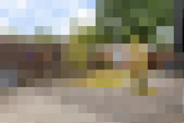 Rolderbrink 88 Emmen thumbnail 4