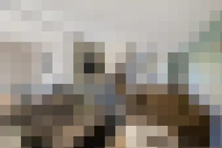 Rolderbrink 95 Emmen thumbnail 9