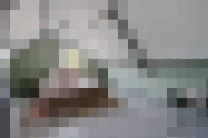 Rolderbrink 97 Emmen thumbnail 22