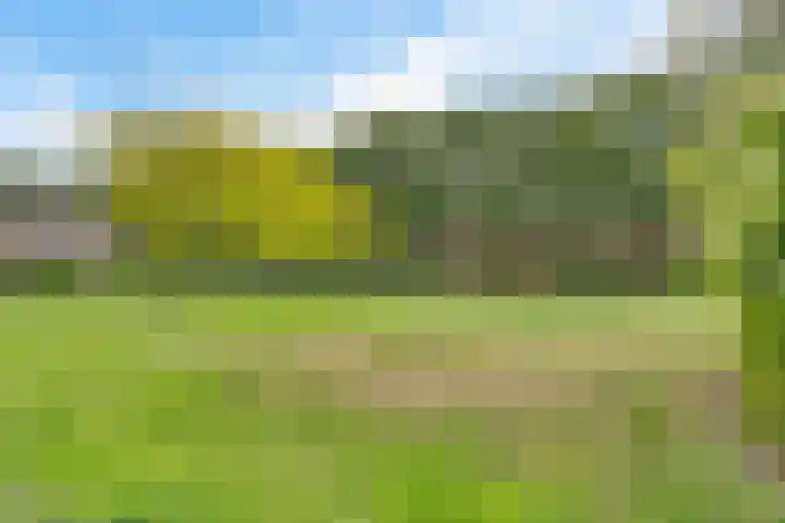Rolderbrink 97 Emmen thumbnail 4