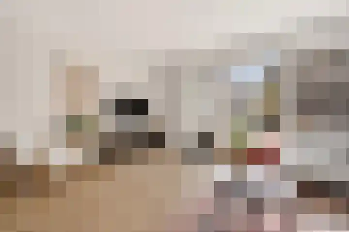 Rolderdiep 21 Zwolle thumbnail 11