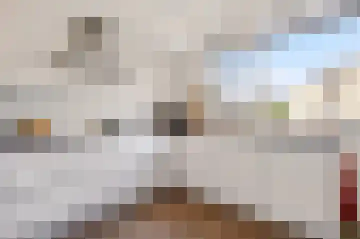 Rolderdiep 21 Zwolle thumbnail 16