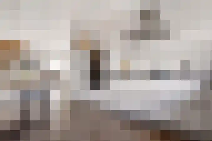 Rolderdiep 21 Zwolle thumbnail 18