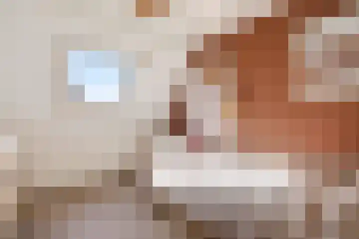 Rolderdiep 21 Zwolle thumbnail 34
