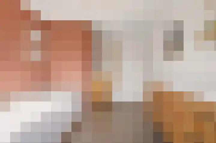 Rolderdiep 21 Zwolle thumbnail 35