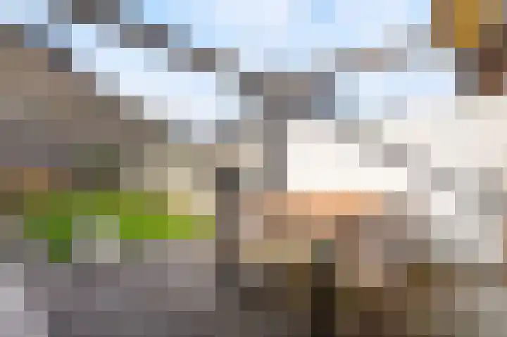 Rolderdiep 21 Zwolle thumbnail 37