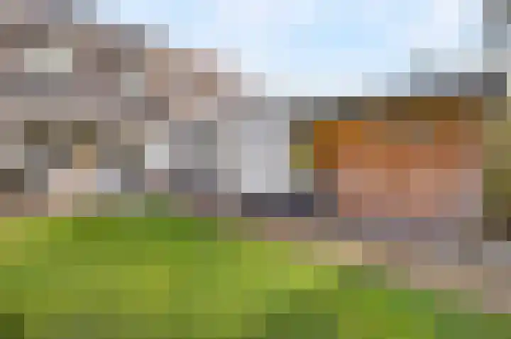 Rolderdiep 21 Zwolle thumbnail 39