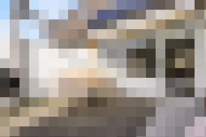 Rolderdiep 21 Zwolle thumbnail 42