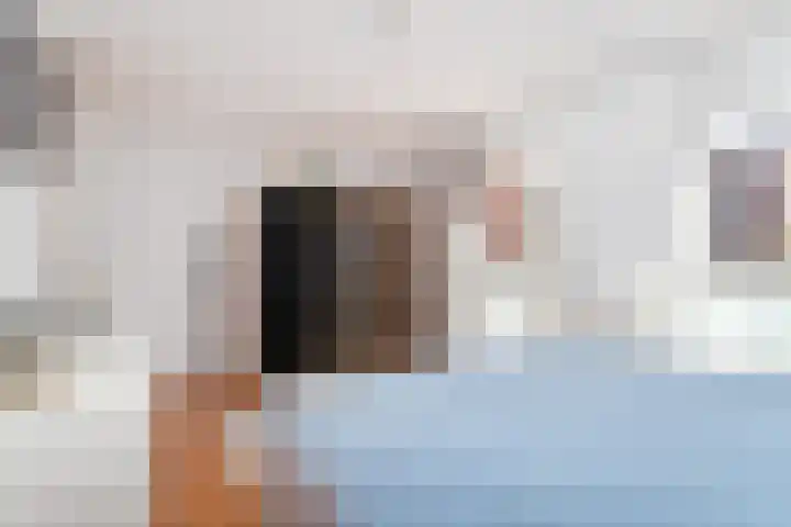 Rolderdiephof 134 Utrecht thumbnail 14