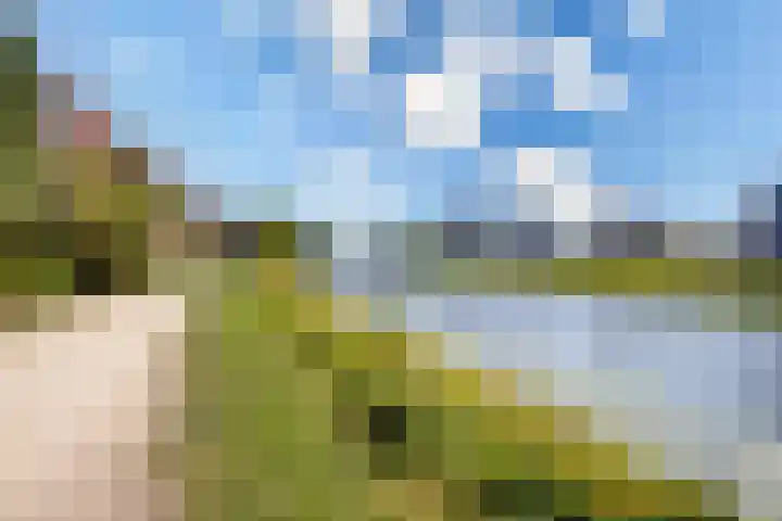 Rolderdiephof 134 Utrecht thumbnail 26