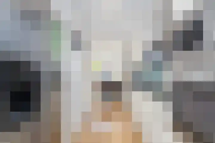 Rolderdiephof 134 Utrecht thumbnail 7