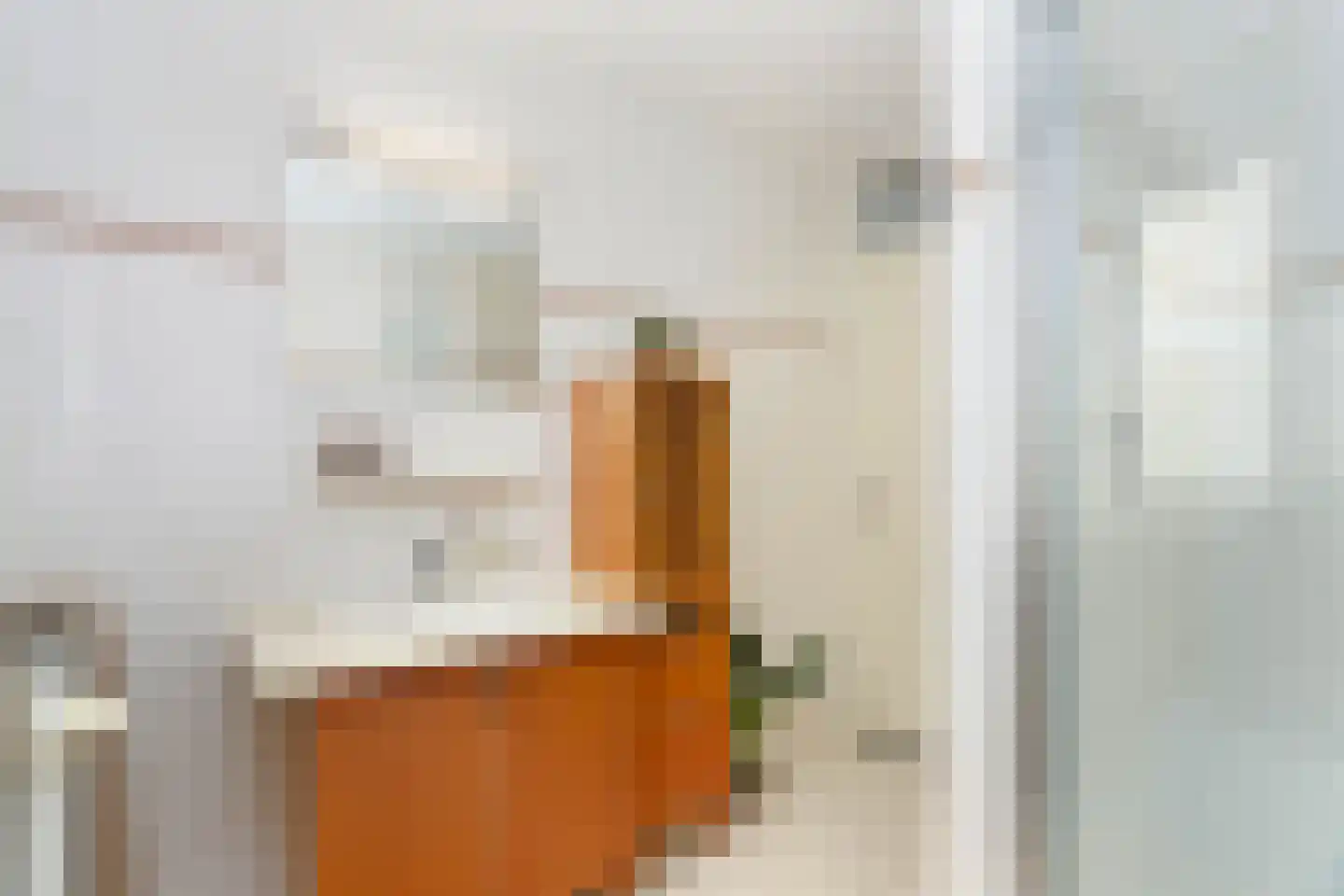 Rolderdiephof 150 Utrecht thumbnail 15