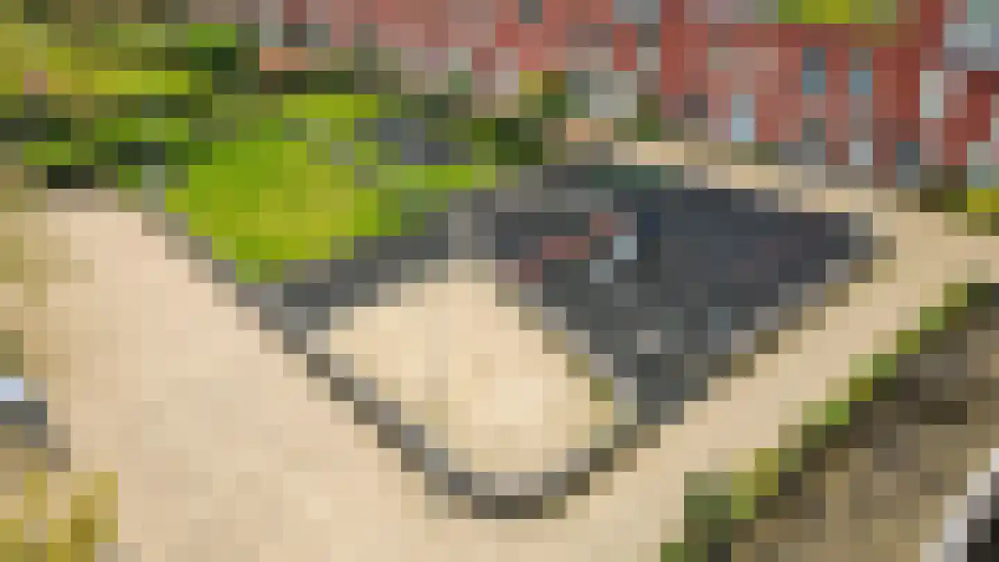 Rolderdiephof 150 Utrecht thumbnail 30