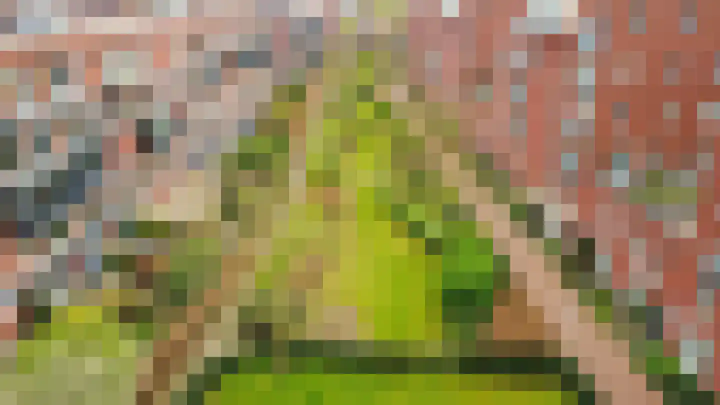 Rolderdiephof 150 Utrecht thumbnail 31