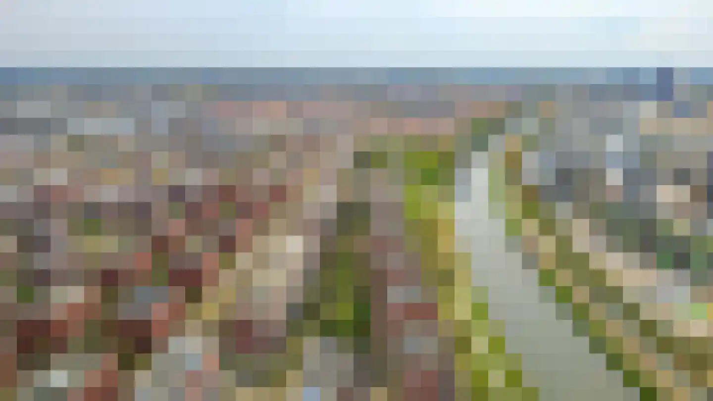 Rolderdiephof 150 Utrecht thumbnail 34
