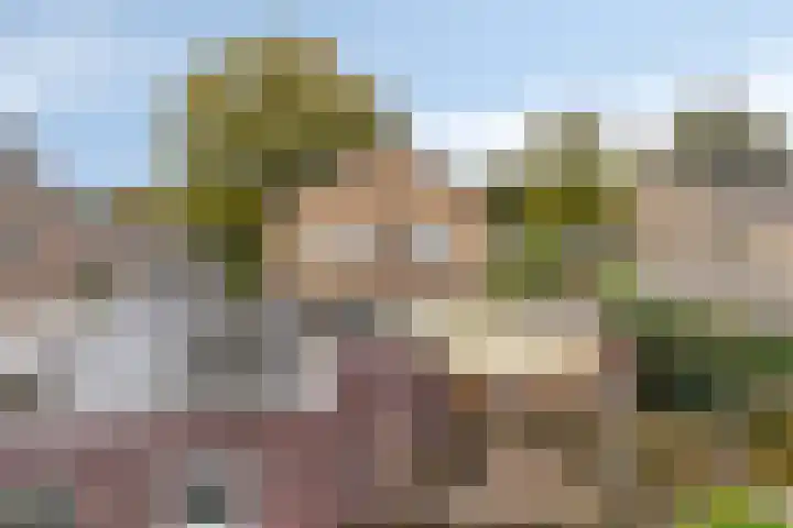 Rolderdingspillaan 1 a Rolde thumbnail 30