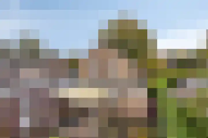 Rolderdingspillaan 1 a Rolde thumbnail 31