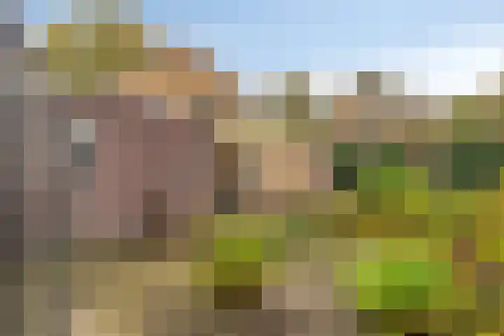 Rolderdingspillaan 1 a Rolde thumbnail 32