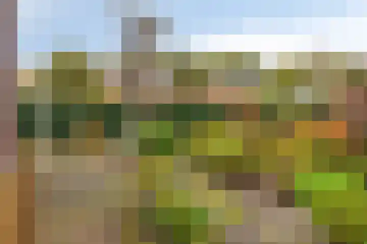 Rolderdingspillaan 1 a Rolde thumbnail 33