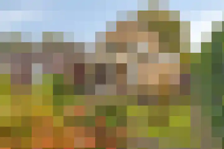 Rolderdingspillaan 1 a Rolde thumbnail 36