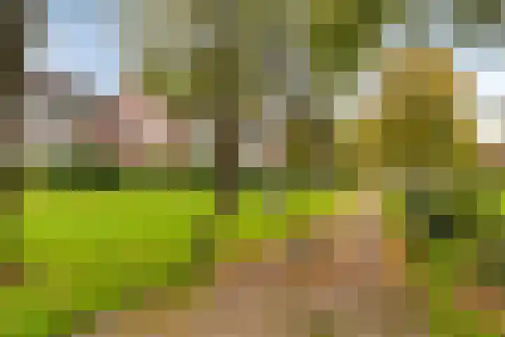 Rolderdingspillaan 1 a Rolde thumbnail 37