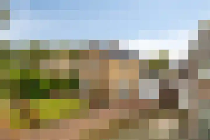 Rolderdingspillaan 1 a Rolde thumbnail 40