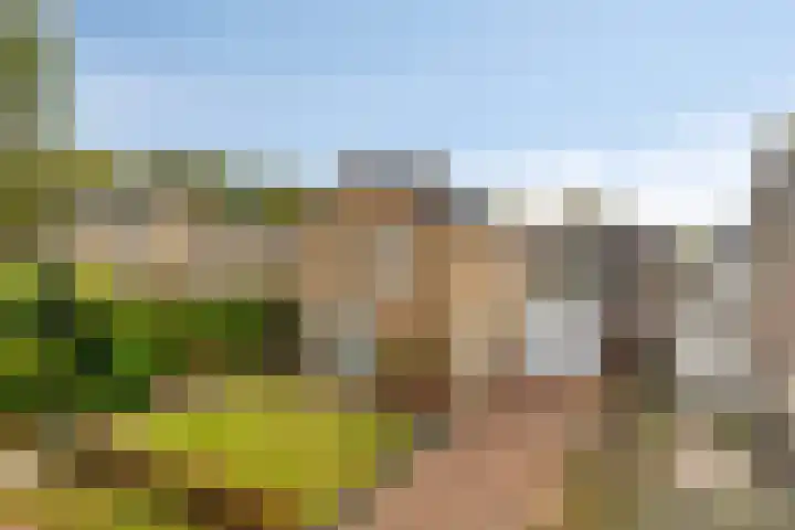 Rolderdingspillaan 1 a Rolde thumbnail 41