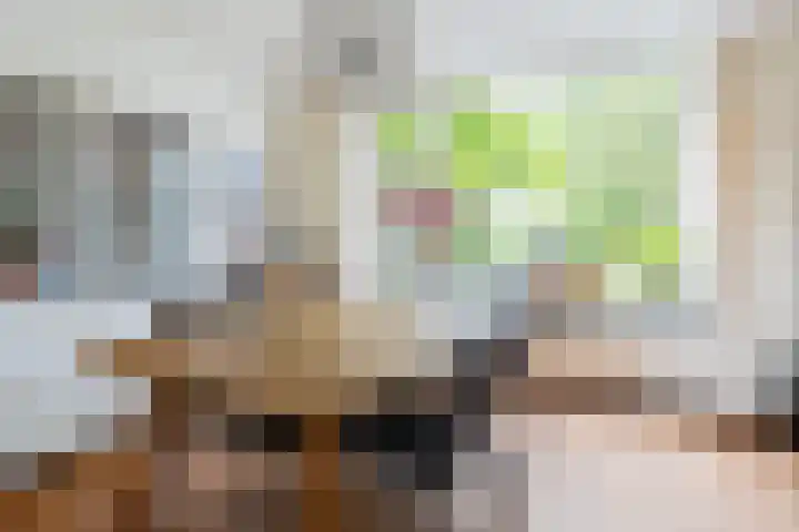 Rolderdingspillaan 21 Rolde thumbnail 17