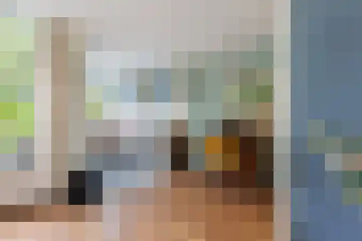 Rolderdingspillaan 21 Rolde thumbnail 21
